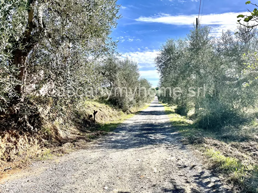 Immagine 43 di Appartamento in vendita  a Castiglione Della Pescaia