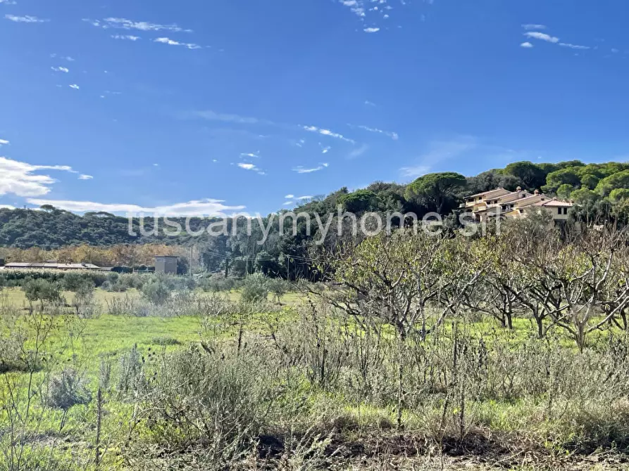 Immagine 44 di Appartamento in vendita  a Castiglione Della Pescaia