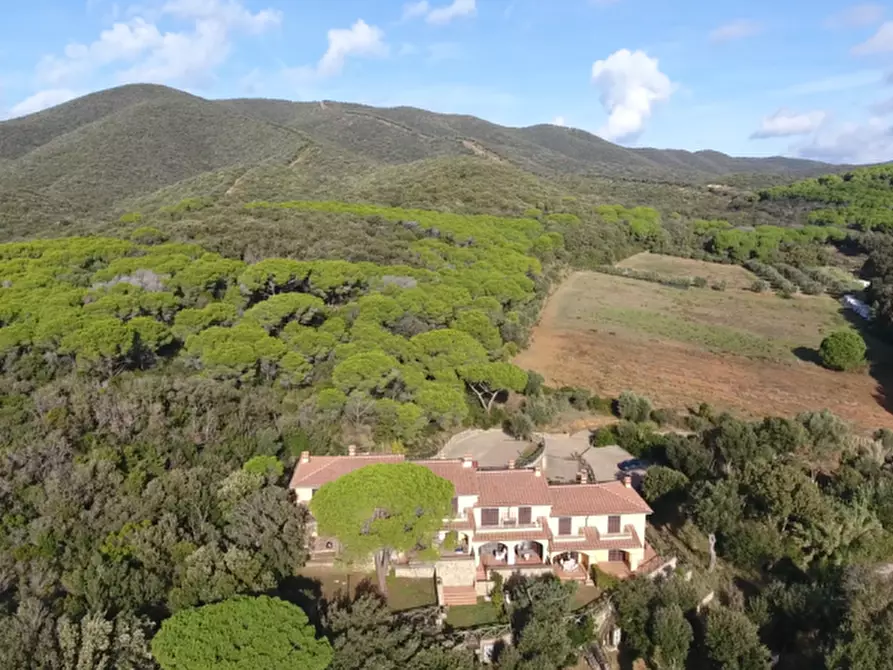 Immagine 47 di Appartamento in vendita  a Castiglione Della Pescaia