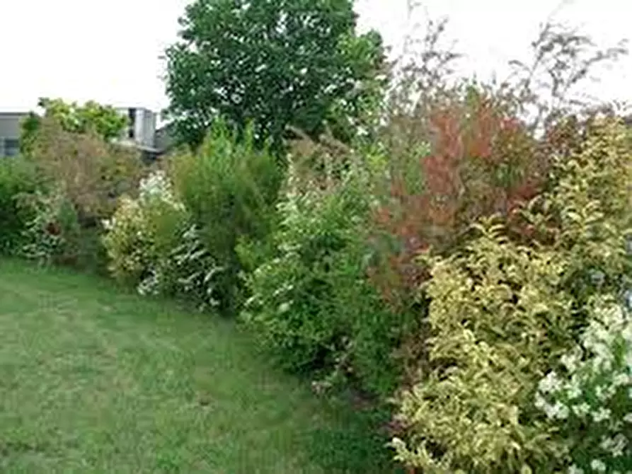 Immagine 13 di Casa indipendente in vendita  in Via Fabiano e Sebastaiano a Padova