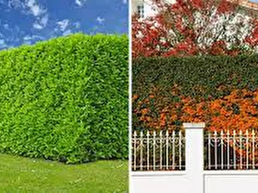 Immagine 17 di Casa indipendente in vendita  in Via Fabiano e Sebastaiano a Padova