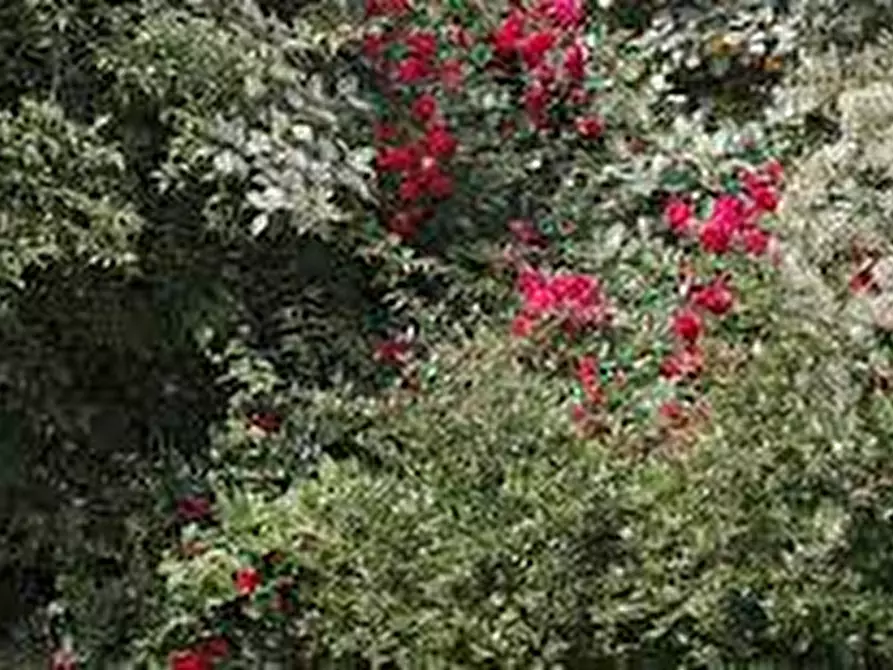 Immagine 18 di Casa indipendente in vendita  in Via Fabiano e Sebastaiano a Padova