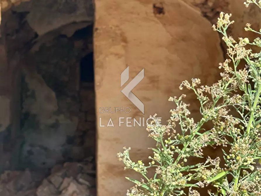 Immagine 30 di Rustico / casale in vendita  a Martina Franca