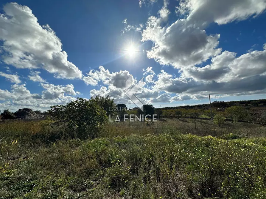 Immagine 34 di Rustico / casale in vendita  a Martina Franca