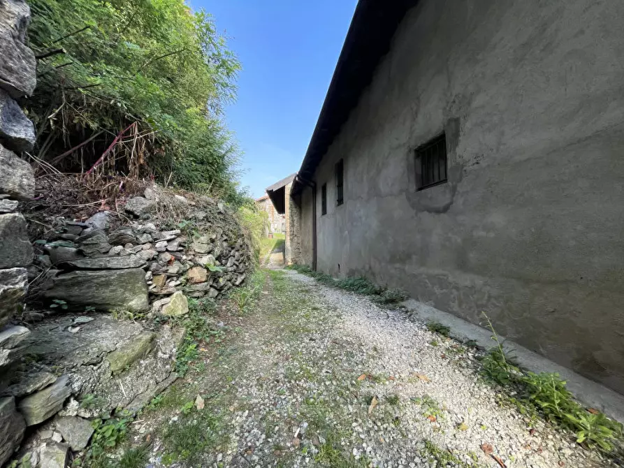 Immagine 4 di Rustico / casale in vendita  in Via Umberto Primo 14 a Massino Visconti