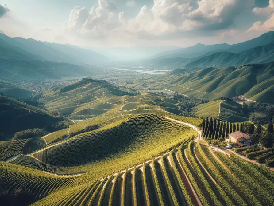 Immagine 9 di Terreno in vendita  in via schiavonesca Nervesa della battaglia a Nervesa Della Battaglia