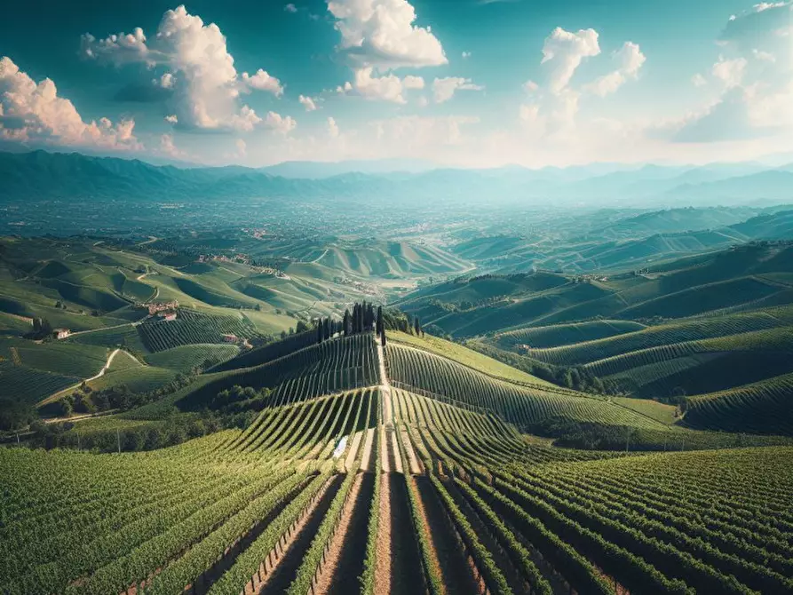 Immagine 10 di Terreno in vendita  in via schiavonesca Nervesa della battaglia a Nervesa Della Battaglia