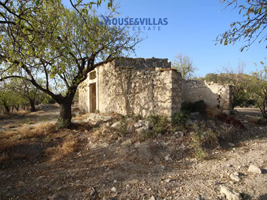 Immagine 4 di Rustico / casale in vendita  in contrada renna a Noto