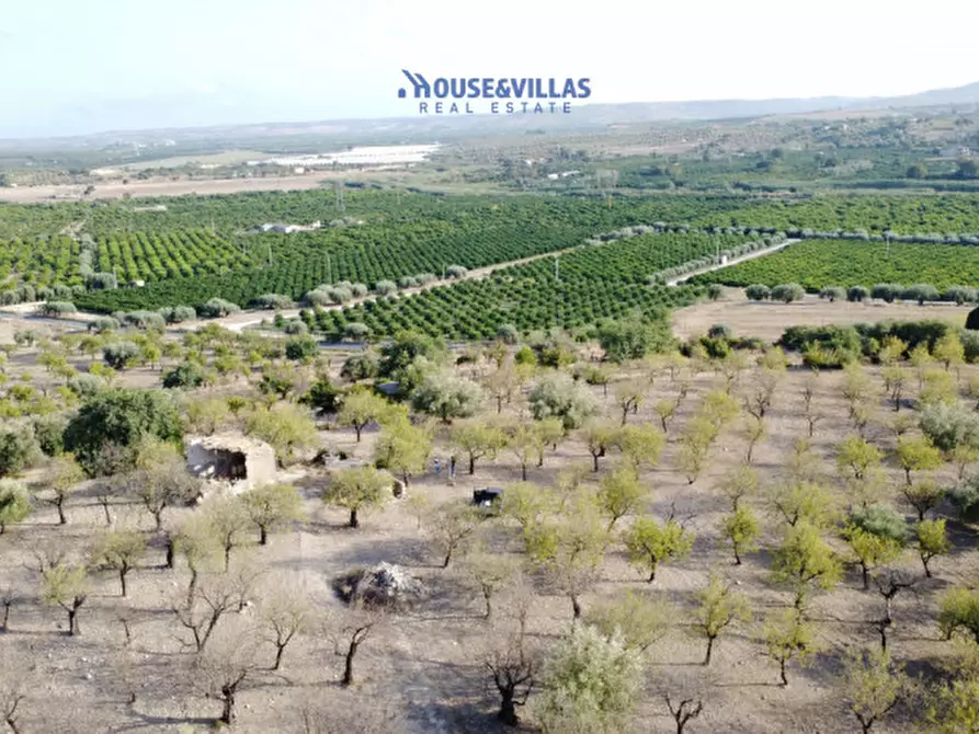 Immagine 8 di Rustico / casale in vendita  in contrada renna a Noto