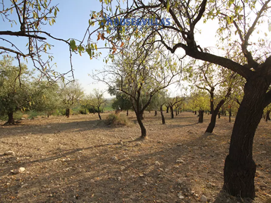 Immagine 9 di Rustico / casale in vendita  in contrada renna a Noto
