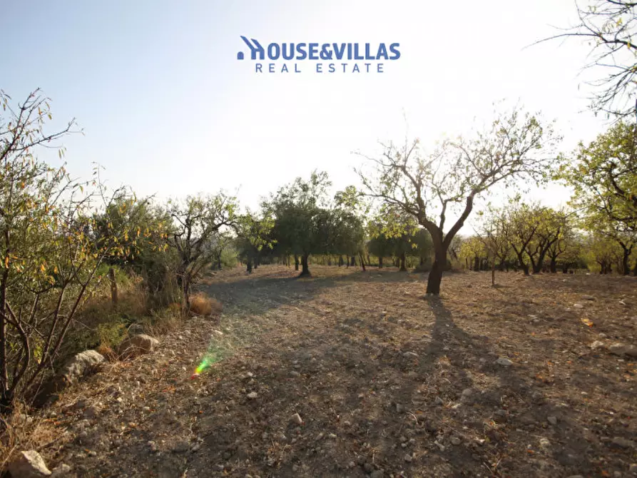 Immagine 11 di Rustico / casale in vendita  in contrada renna a Noto