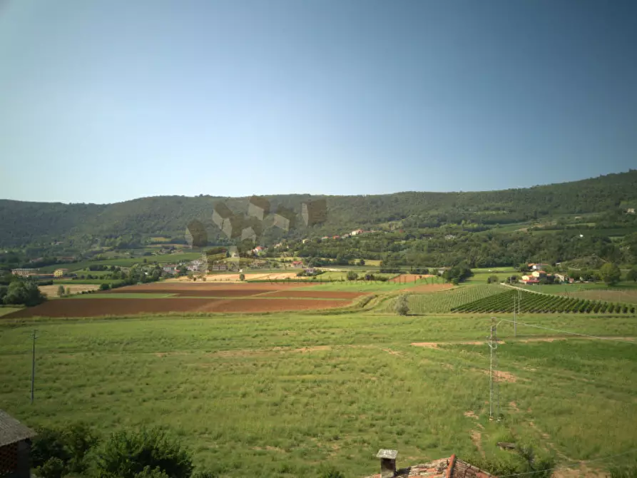 Immagine 21 di Rustico / casale in vendita  a Val Liona