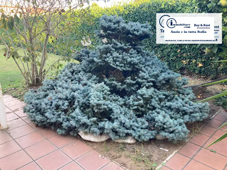 Immagine 5 di Villa in vendita  in Via dei Pitosfori a Anzio