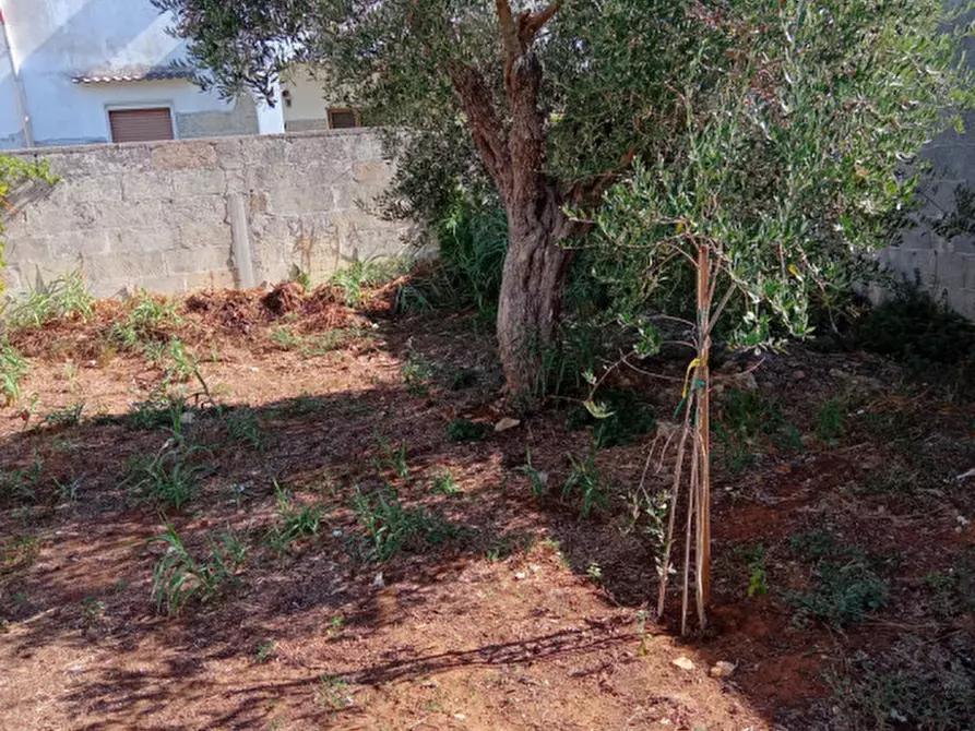Immagine 2 di Terreno in vendita  in Via Fiume a Cavallino