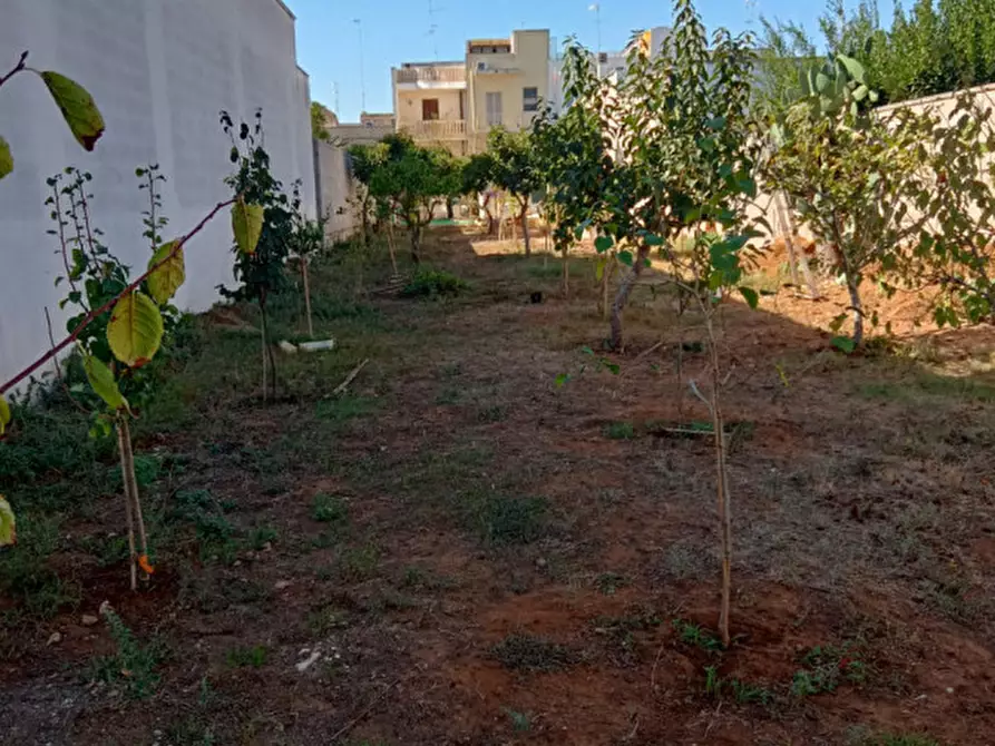 Immagine 4 di Terreno in vendita  in Via Fiume a Cavallino