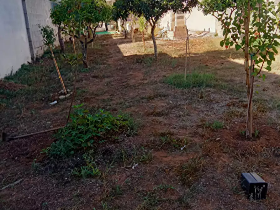 Immagine 5 di Terreno in vendita  in Via Fiume a Cavallino