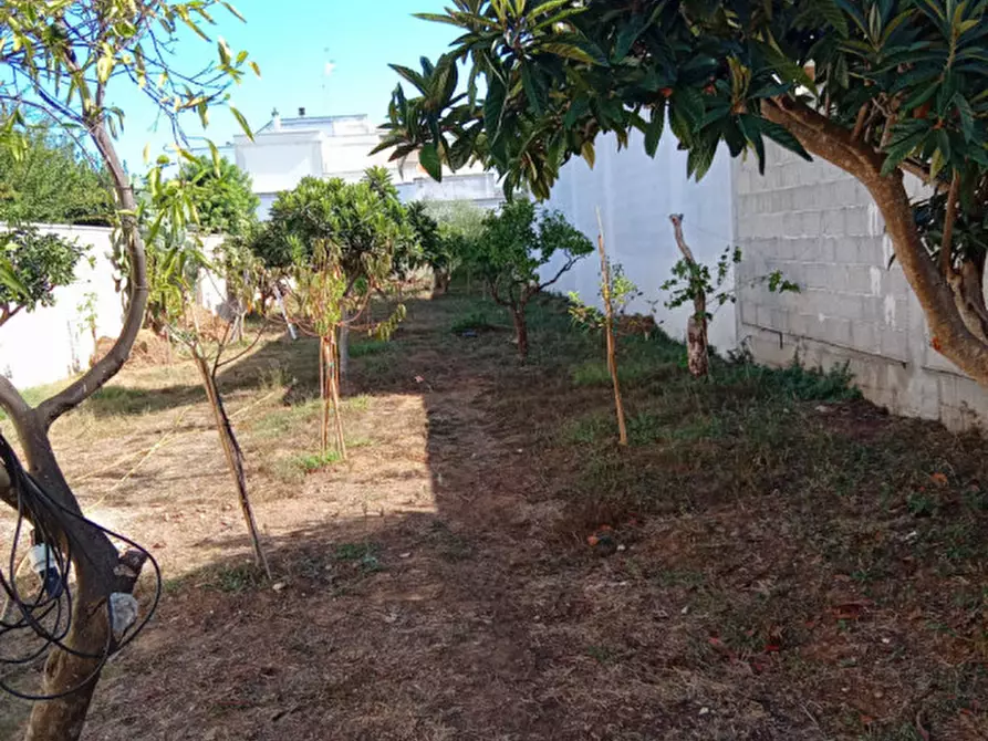 Immagine 7 di Terreno in vendita  in Via Fiume a Cavallino