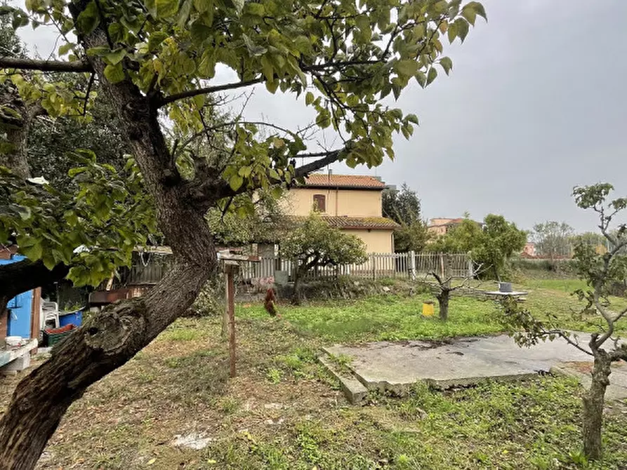 Immagine 3 di Casa indipendente in vendita  in Borgo San Giovanni a Chioggia