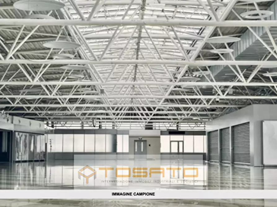 Immagine 5 di Capannone industriale in vendita  a Cavaion Veronese