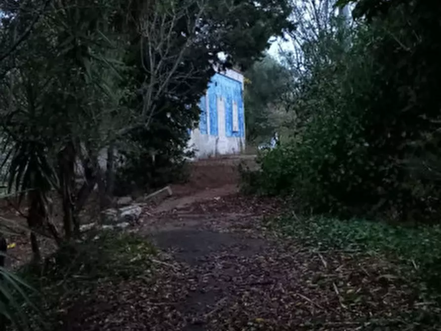 Immagine 21 di Rustico / casale in vendita  in C.da Ulmo a Ceglie Messapico