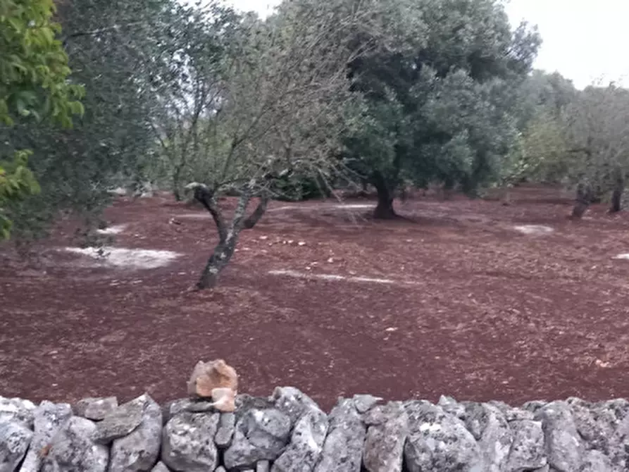 Immagine 22 di Rustico / casale in vendita  in C.da Ulmo a Ceglie Messapico