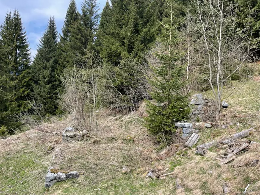 Immagine 3 di Rustico / casale in vendita  in Località Fossadei a Pinzolo