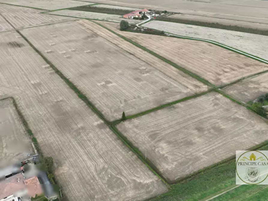 Immagine 2 di Terreno in vendita  in barbona a Barbona