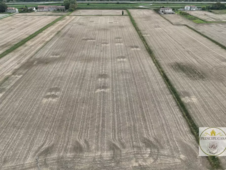 Immagine 3 di Terreno in vendita  in barbona a Barbona