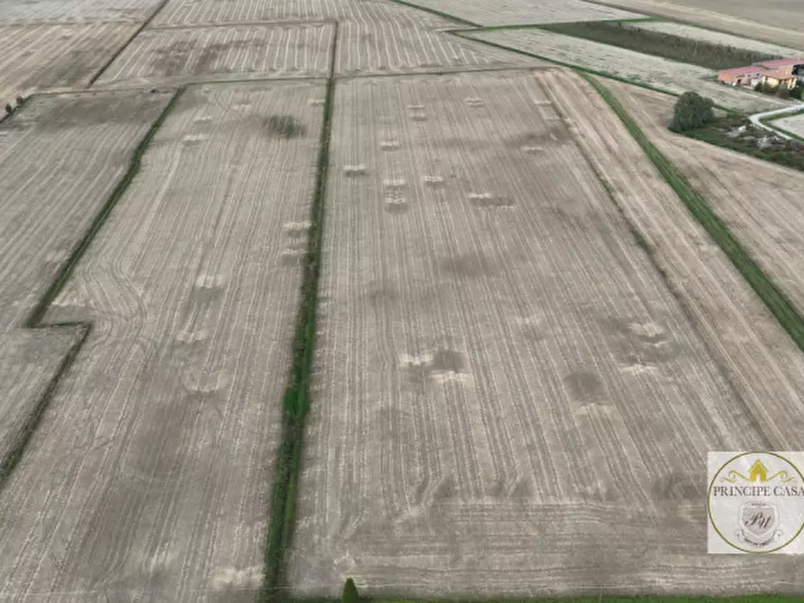 Immagine 4 di Terreno in vendita  in barbona a Barbona