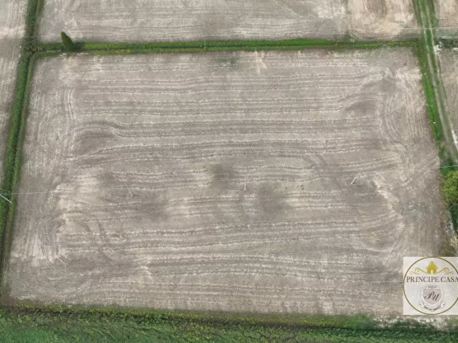 Immagine 5 di Terreno in vendita  in barbona a Barbona