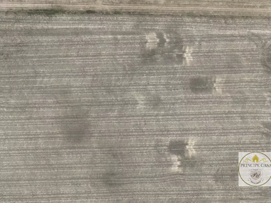 Immagine 6 di Terreno in vendita  in barbona a Barbona