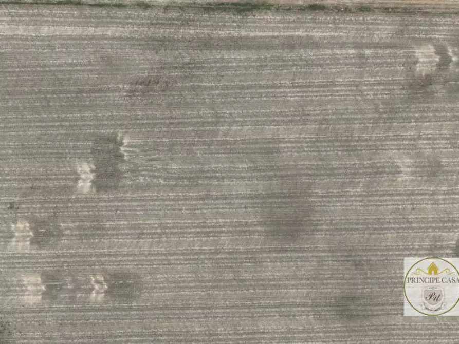 Immagine 7 di Terreno in vendita  in barbona a Barbona