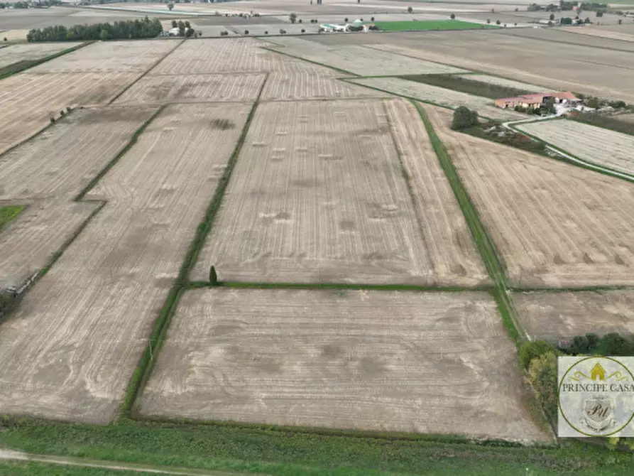 Immagine 8 di Terreno in vendita  in barbona a Barbona