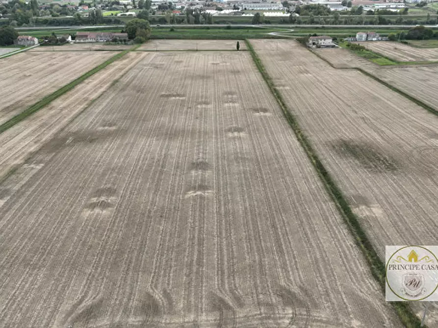 Immagine 9 di Terreno in vendita  in barbona a Barbona