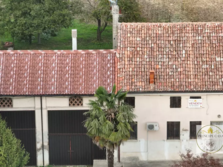 Immagine 11 di Terreno in vendita  in barbona a Barbona