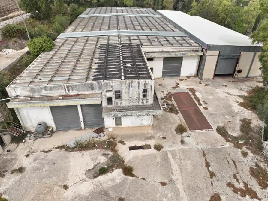 Immagine 3 di Capannone industriale in affitto  in Via Loreto Gallinara a Modica