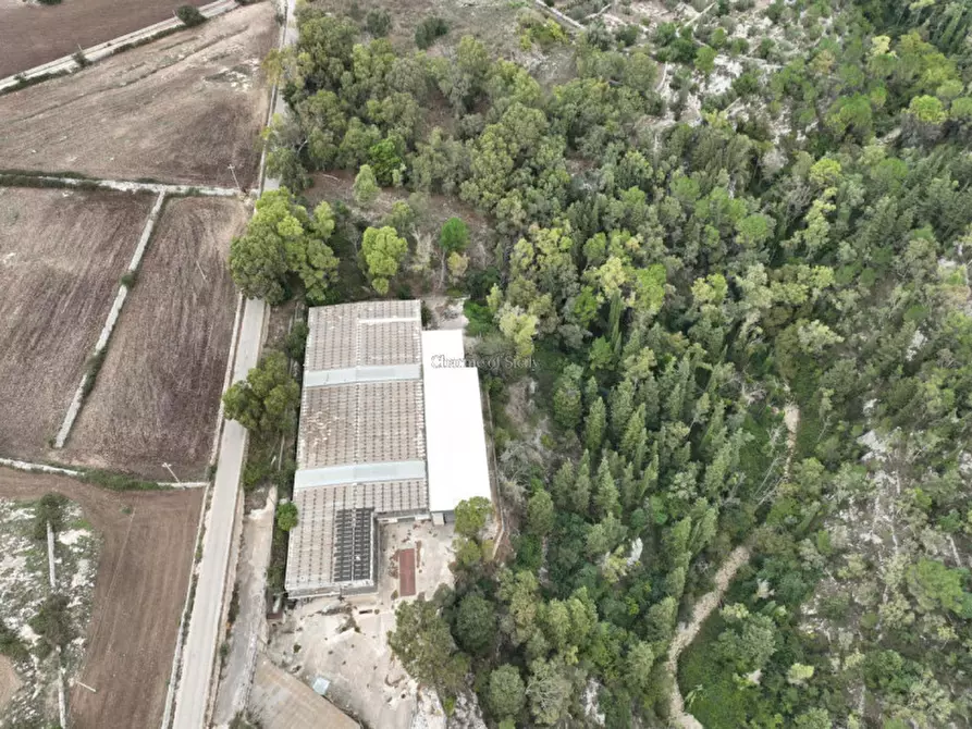 Immagine 8 di Capannone industriale in affitto  in Via Loreto Gallinara a Modica