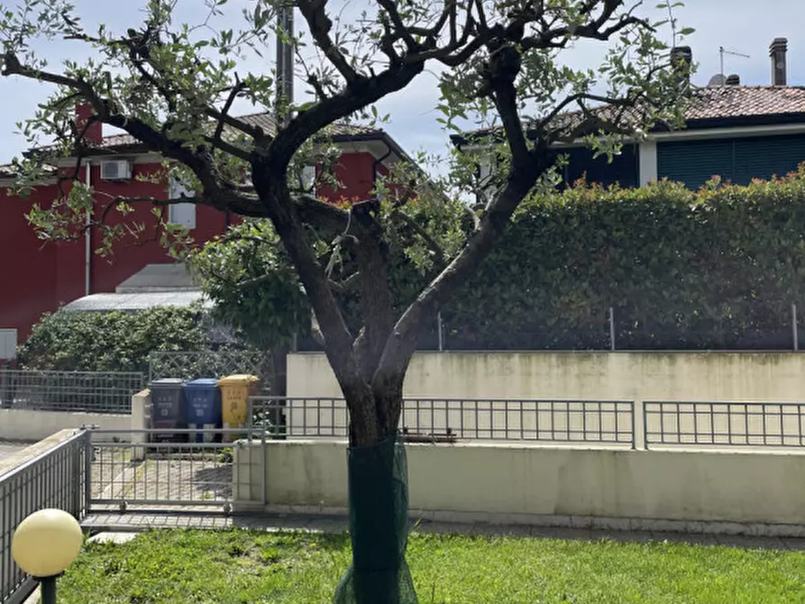 Immagine 29 di Casa bifamiliare in vendita  a Castelfranco Veneto