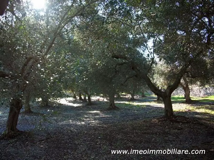 Immagine 6 di Rustico / casale in vendita  in C.da San Benedetto a Ostuni