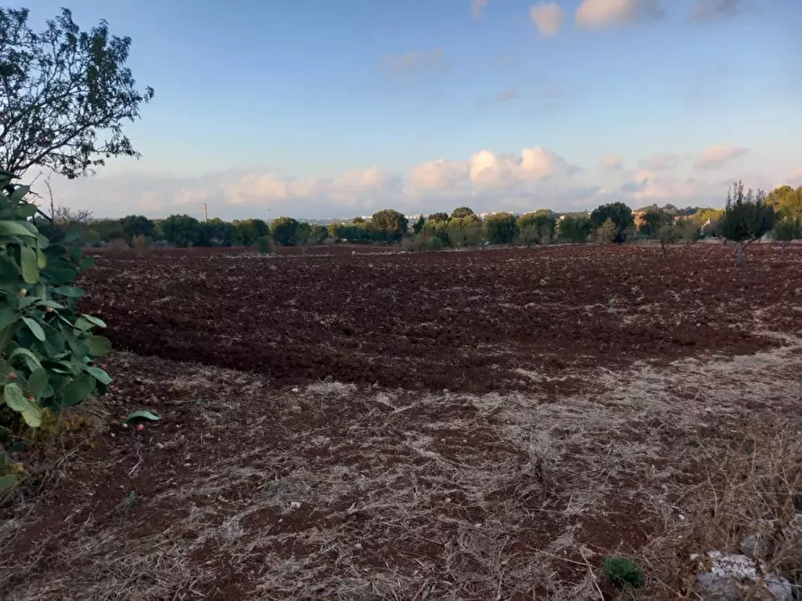 Immagine 11 di Rustico / casale in vendita  in C.da San Benedetto a Ostuni