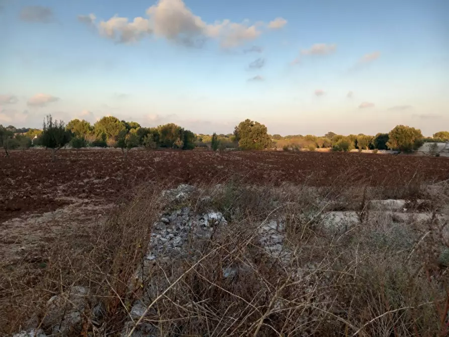 Immagine 12 di Rustico / casale in vendita  in C.da San Benedetto a Ostuni