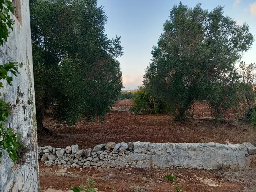 Immagine 13 di Rustico / casale in vendita  in C.da San Benedetto a Ostuni