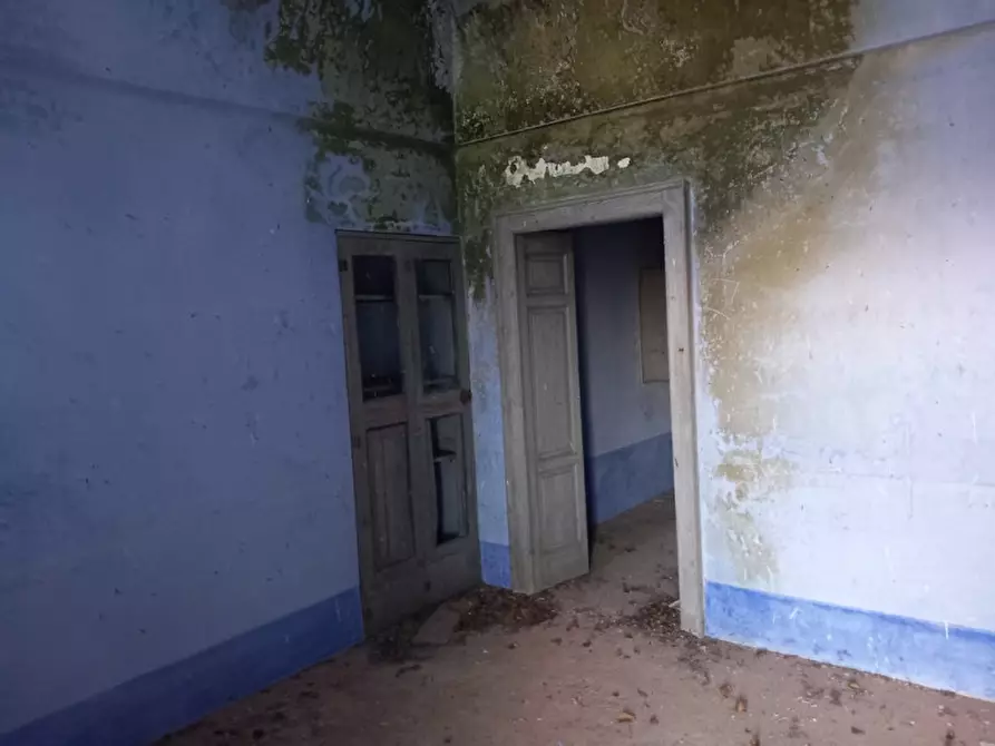 Immagine 15 di Rustico / casale in vendita  in C.da San Benedetto a Ostuni