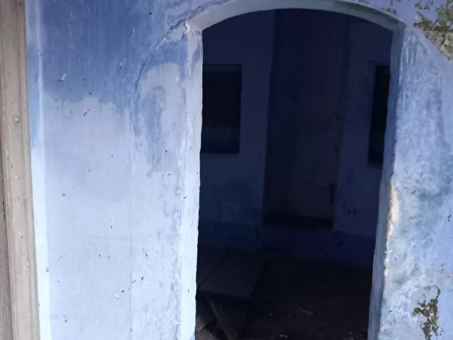 Immagine 18 di Rustico / casale in vendita  in C.da San Benedetto a Ostuni