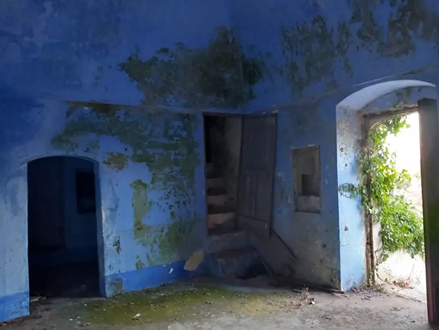 Immagine 21 di Rustico / casale in vendita  in C.da San Benedetto a Ostuni