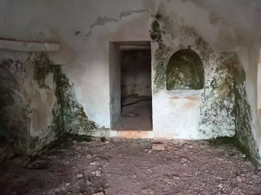 Immagine 27 di Rustico / casale in vendita  in C.da San Benedetto a Ostuni