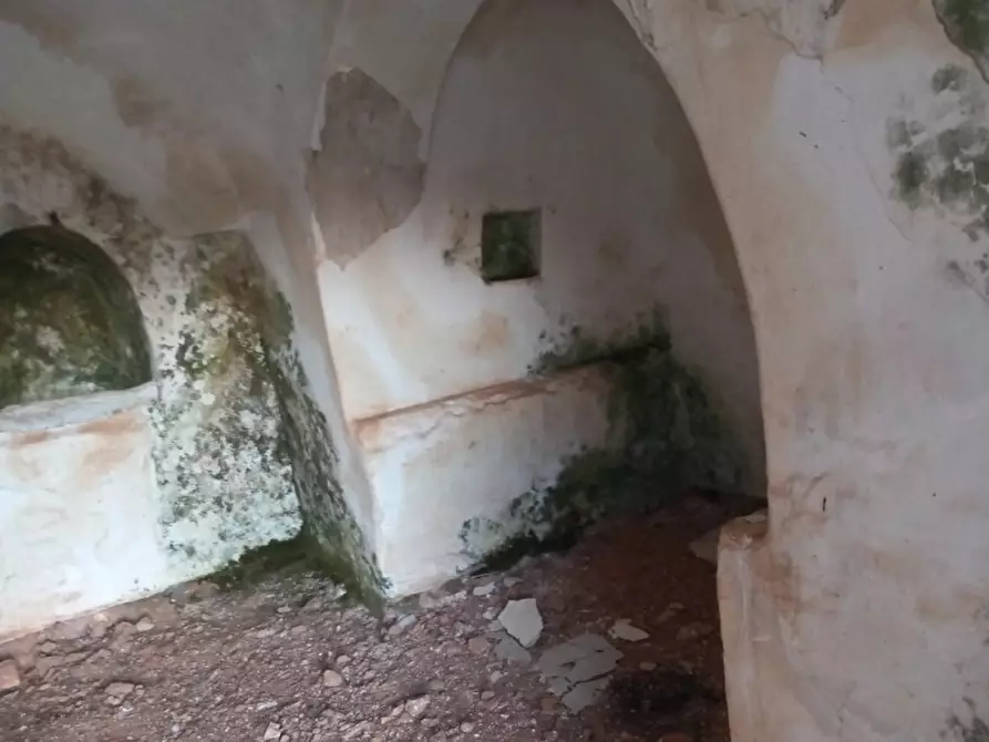 Immagine 29 di Rustico / casale in vendita  in C.da San Benedetto a Ostuni