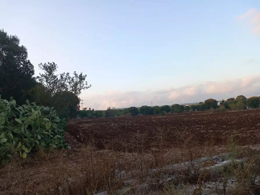Immagine 30 di Rustico / casale in vendita  in C.da San Benedetto a Ostuni