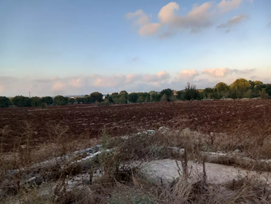 Immagine 31 di Rustico / casale in vendita  in C.da San Benedetto a Ostuni