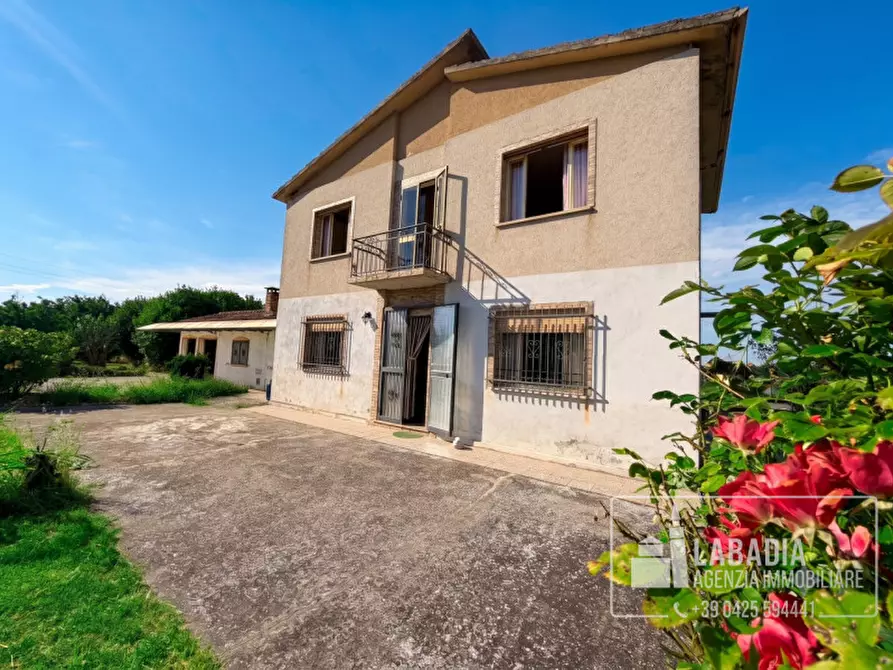Immagine 3 di Villa in vendita  in Via Zelo 1435 a Ceneselli